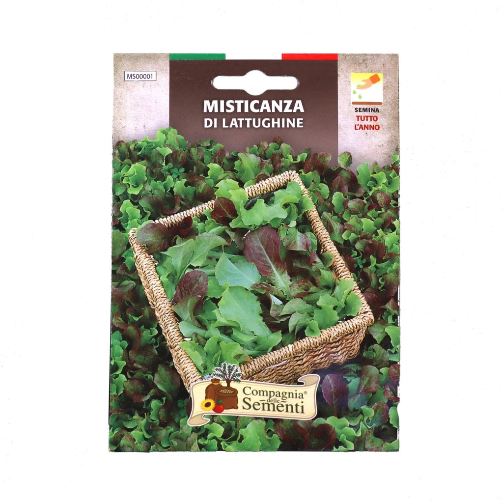 BUSTA SEMENTI MISTICANZA DI LATTUGHINE