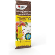 Trappola Bi-Adesiva cromotropica con feromoni BIO 3  pezzi
