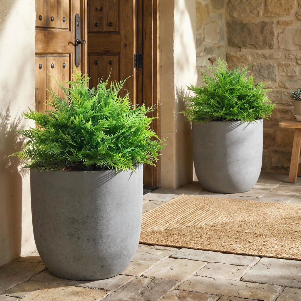 Piante Artificiali Boston Felce ¨C Minimal ¨C Grigio 60 cm Set 2 Pezzi