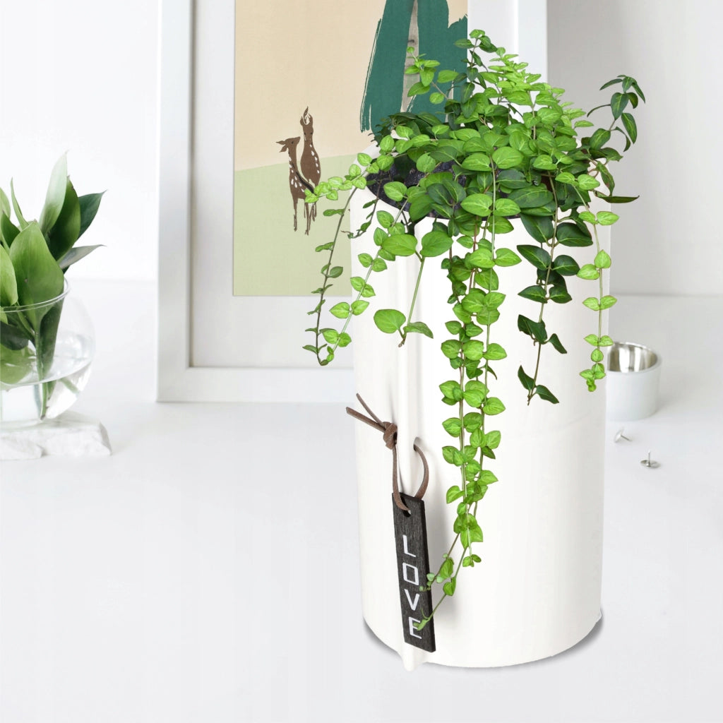 Vaso da fiori in ceramica KADAX, bianco, rotondo, 11 cm
