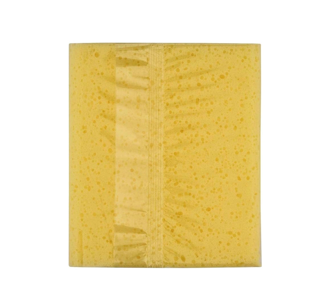 SPUGNA LAVAGGIO 'WIZZY MAXI' AREXONS 10x15x17 cm - AREXONS