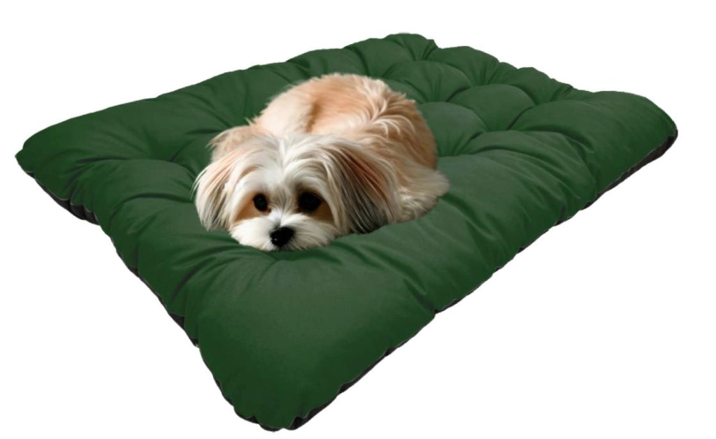 AIO FACTORY 100x70 cm PRESTIGE Cuccia per cani impermeabile personalizzabile Verde