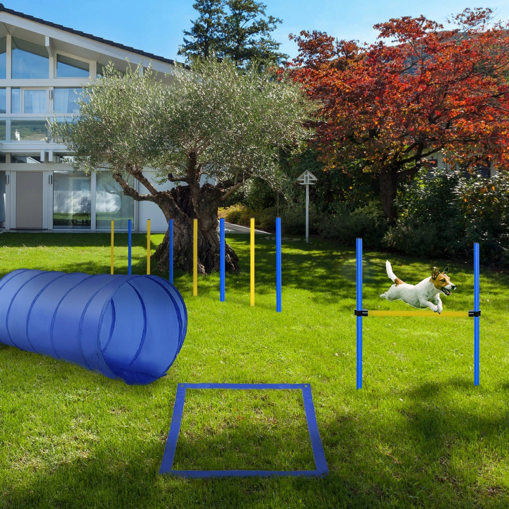 Set Agility per Cani ¨C Minimal ¨C Giallo e Blu