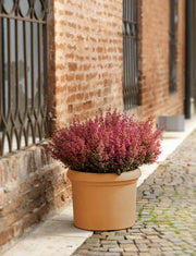 Vaso Cilindro Vicenza Taglia: 53, Colore: Terracotta Anticato, Materiale: Polietilene