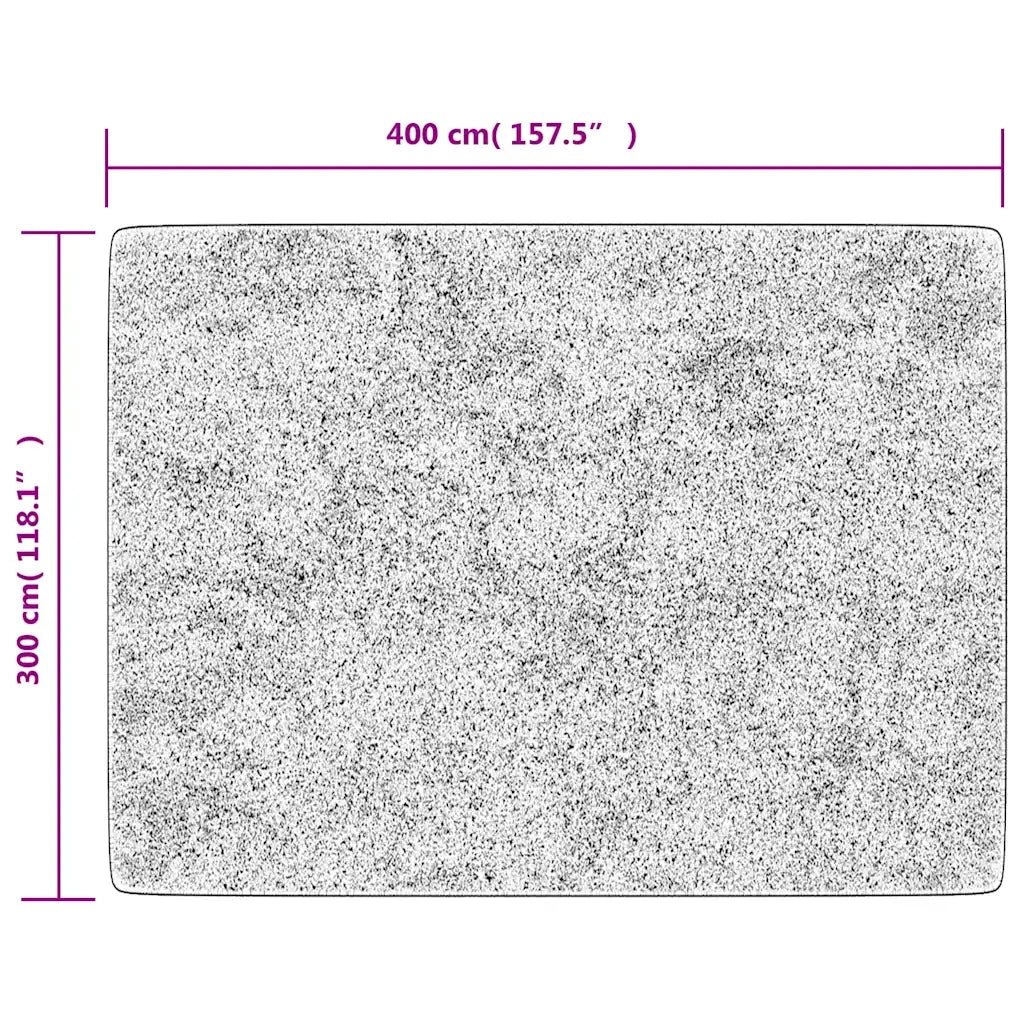 Tappeto Lavabile Grigio 400x300 cm 136633