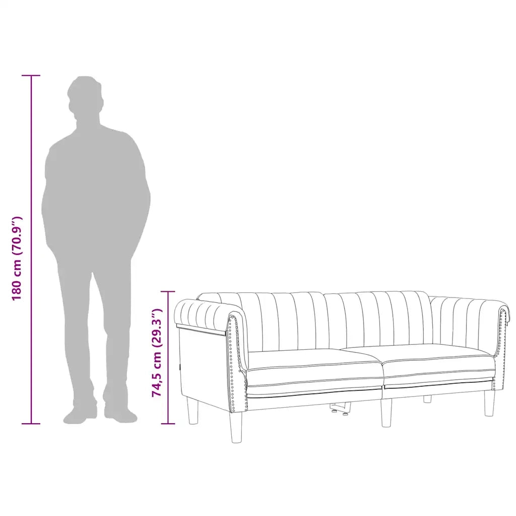 Divano | Divano da soggiorno | Sofa a 2 Posti Grigio Scuro in Velluto