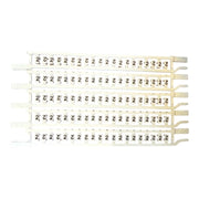 CSC/22 TABELLA 100 CARTELLINI 2