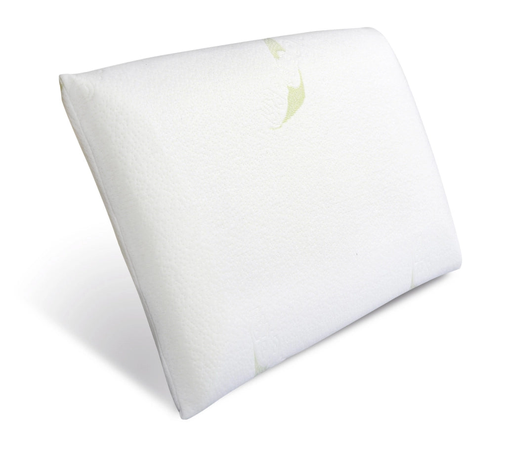 AIO FACTORY 70x36 cm Cuscino Termoplastico Aloe Vera - Cuscino per Cani