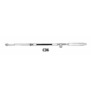 CAVO C36 DA 10' CABLE C36 FT 10'