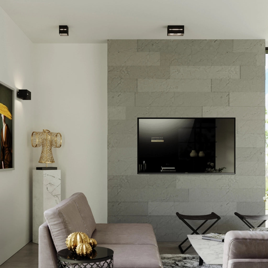 Lampada a soffitto LOBO nero