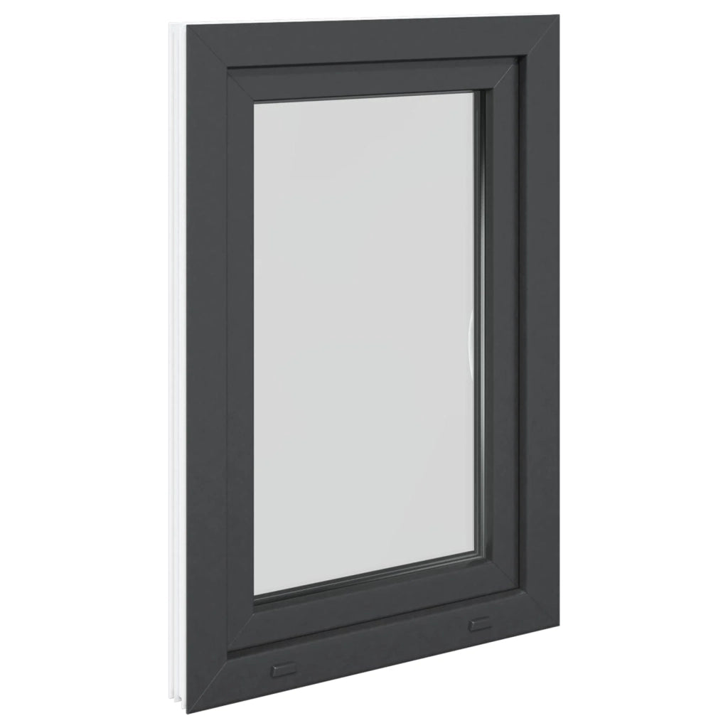 Finestra per Soffitta RISOR 60 x 80 cm PVC e Vetro Antracite