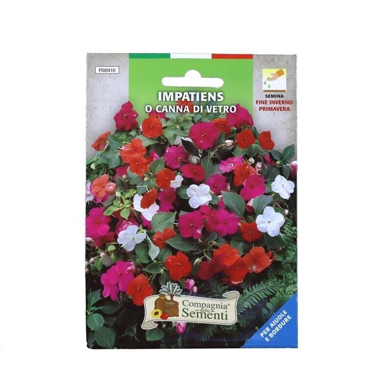 BUSTA SEMENTI IMPATIENS O CANNA DI VETRO