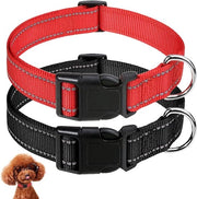 Collare per cani in nylon riflettente, regolabile e duraturo