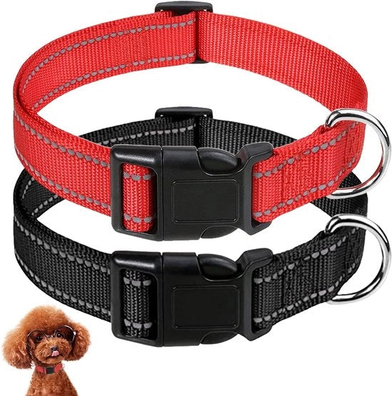 Collare per cani in nylon riflettente, regolabile e duraturo