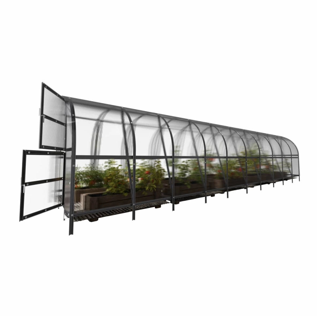Serra da giardino KLASIKA BALTIC LT 3 x 12 m (36 m²), 4 mm con rivestimento in policarbonato