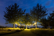 Fili di luce esterno Clear warm - 50 LED - 25m
