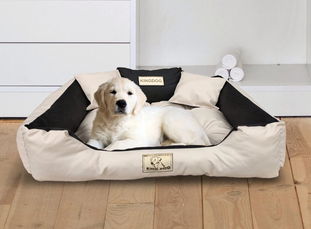 AIO FACTORY 55x45 cm KINGDOG Cuccia per cani impermeabile personalizzabile Beige