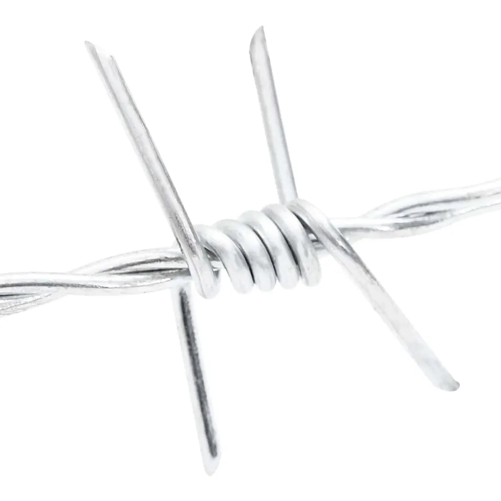 Fil di Ferro Spinato Argento 100 m Acciaio Zincato a Caldo 42010305