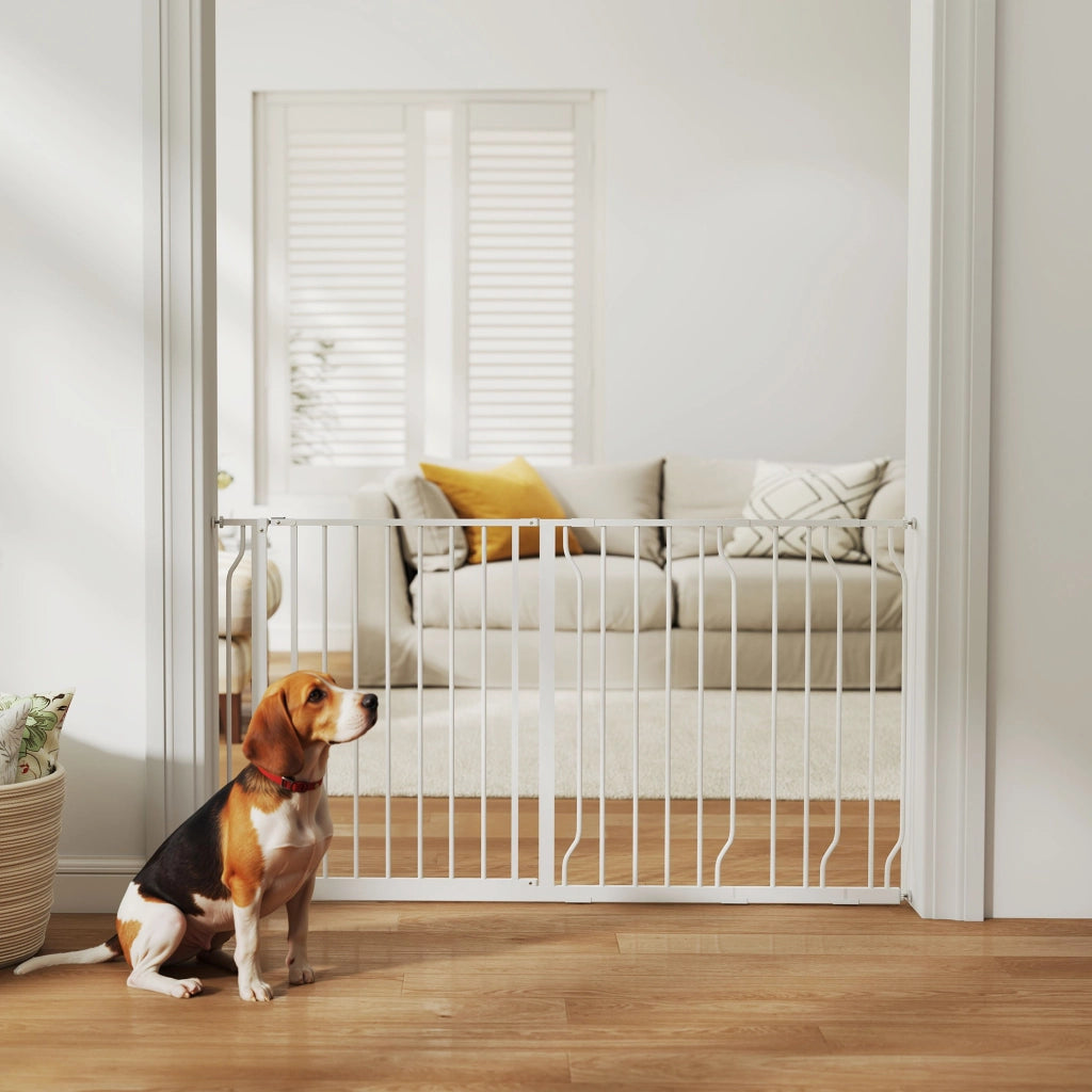 Cancelletto di Sicurezza per Cani ¨C Xylo ¨C Acciaio e ABS, Estensibile 75-145cm, Bianco