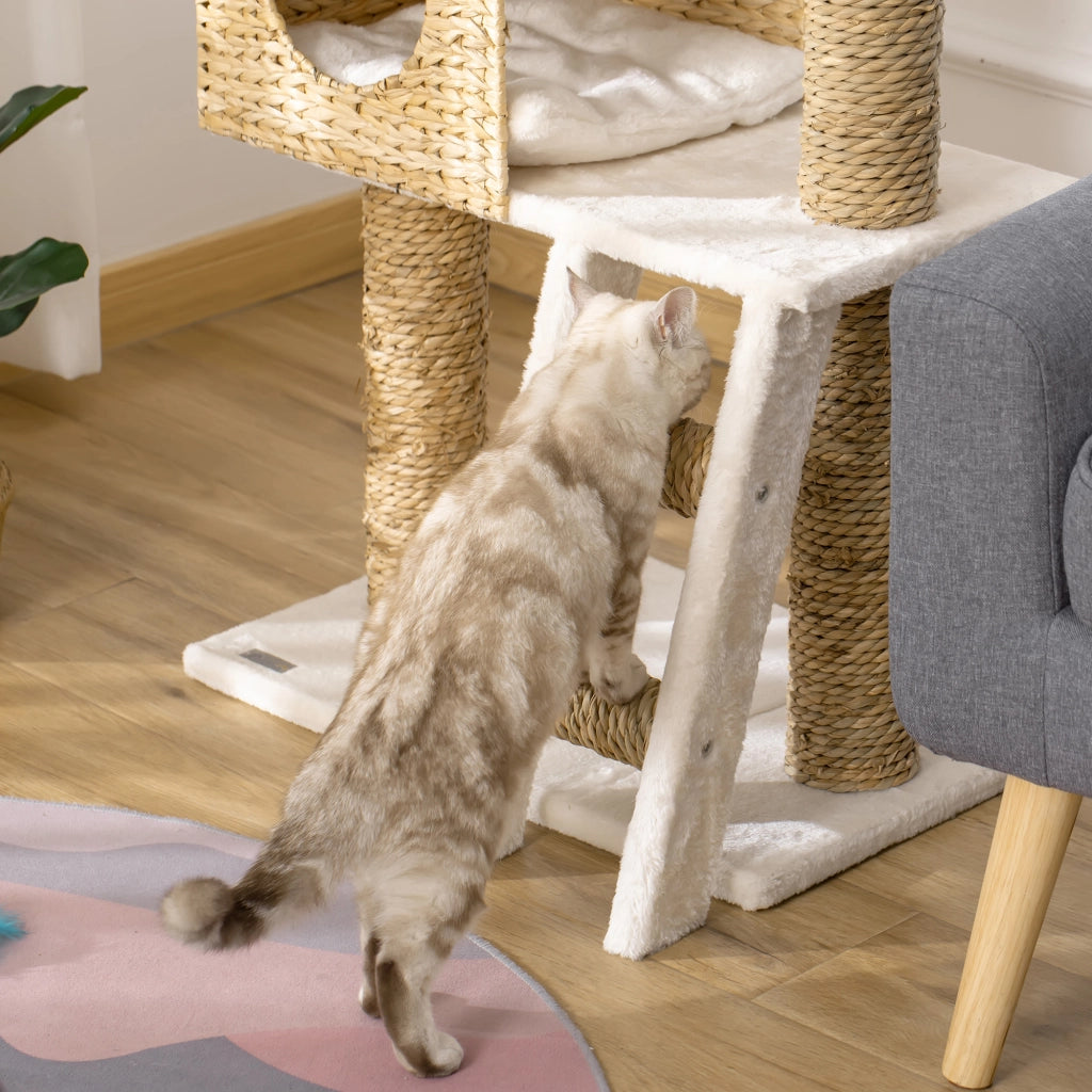 Tiragraffi per Gatti ¨C Xylo ¨C Altezza 100,5 cm con Cuscini e Scala