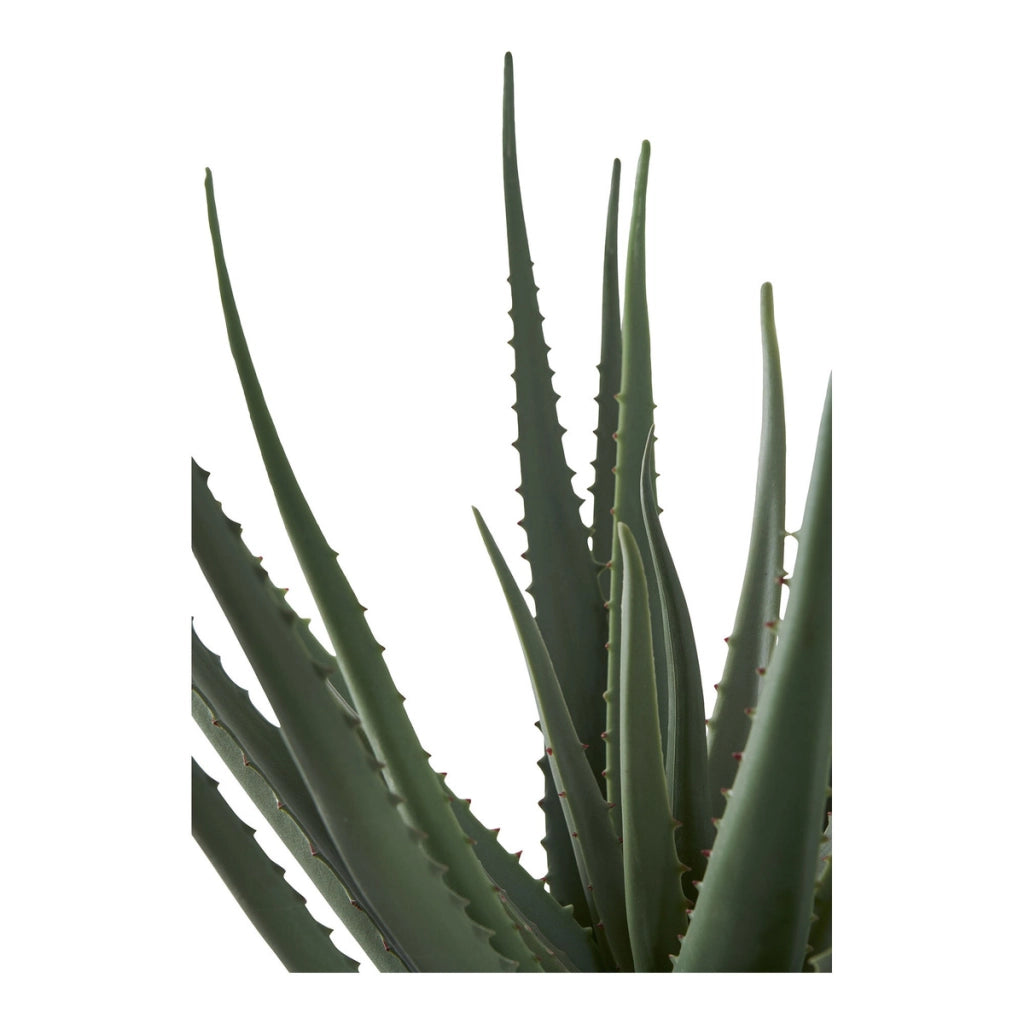 Pianta Artificiale Aloe, Verde, Plastica PE, 30,5x30,5x51 cm