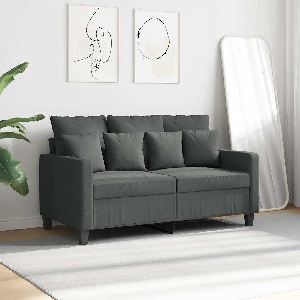 Divano a 2 Posti-Sofa 2 Posti Grigio Scuro 120 cm in Tessuto 161760