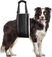 Portatile per cani - Aiutare al trasporto per cani
