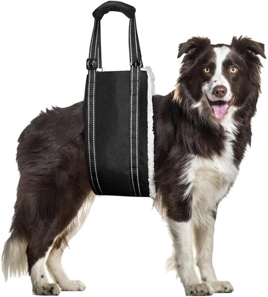 Portatile per cani - Aiutare al trasporto per cani