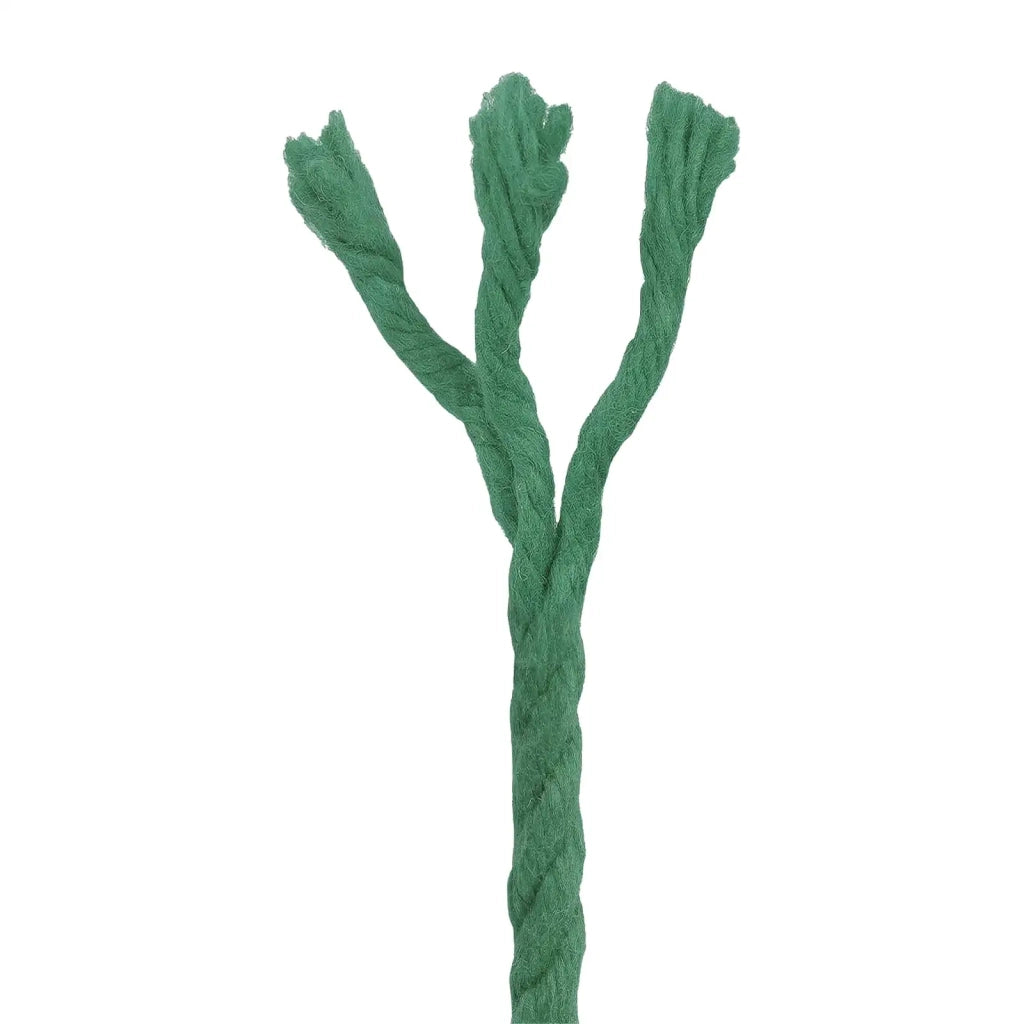 Corda 10 pcs Verde Cotone 42011941