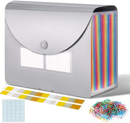 Map per documenti A4 con coperchio, map arcobaleno con 24 compartimenti, map accordeon con etichette, organizzatore per documenti con 24 cassette (argentato)