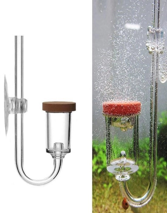 Diffusore a CO2 per acquario - Verifica la trasparenza - Acquario in acrilico - Diffusione a raffica per acquari - Adatto per acquari dolci e marini