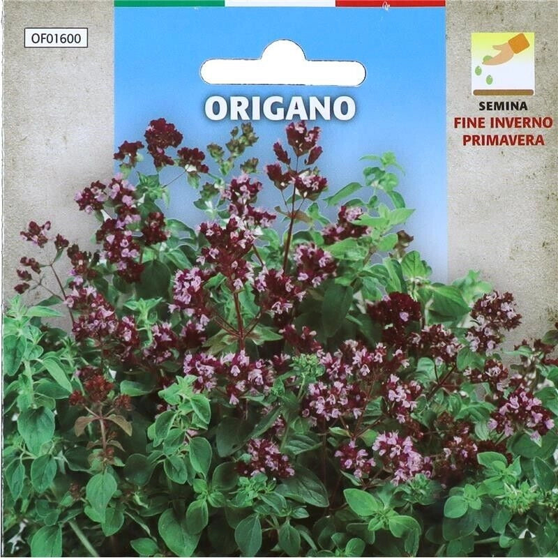 BUSTA SEMENTI DI ORIGANO