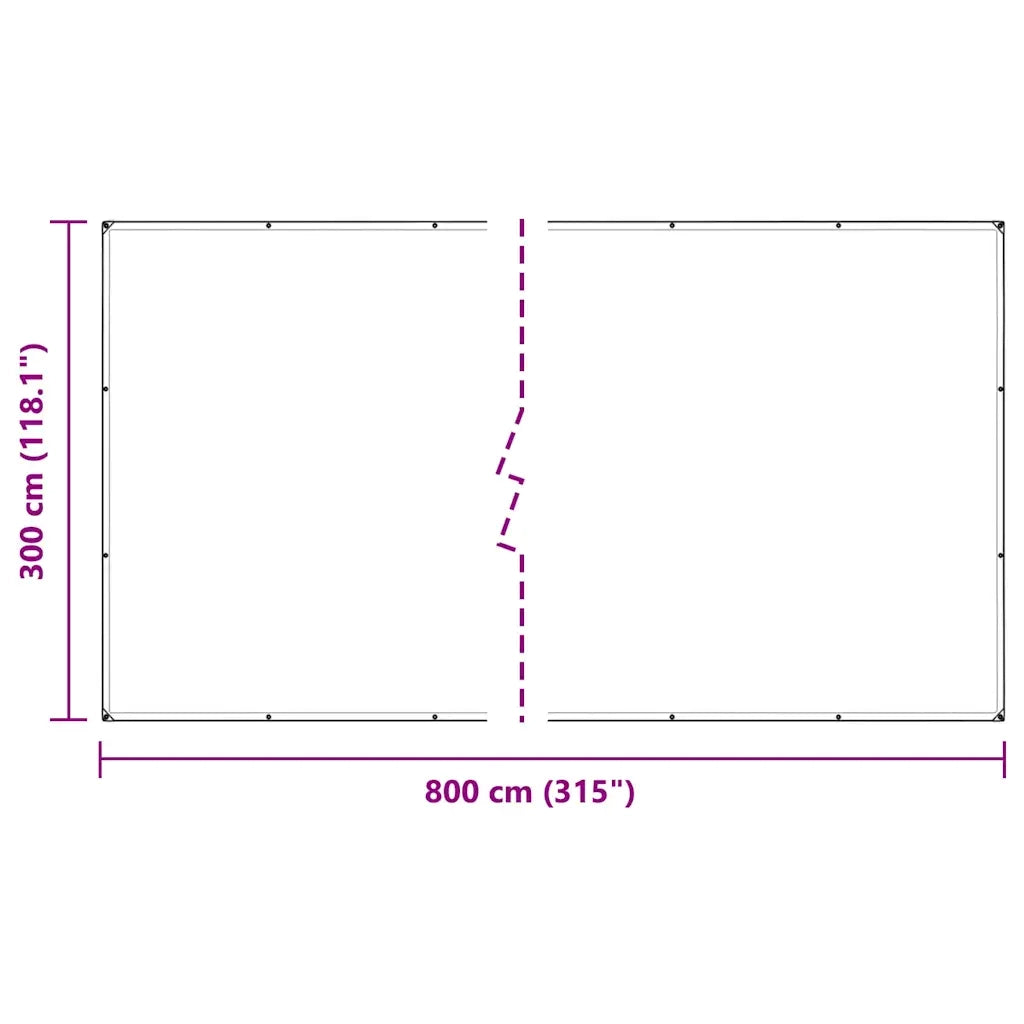Telone Trasparente con Occhielli 3x8 m in Polietilene 4018515