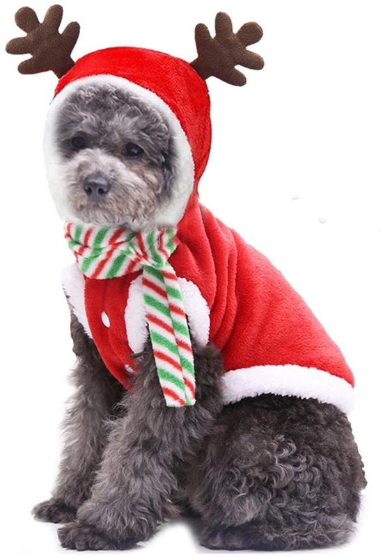 Maglia con Cappuccio per Cani - Abbigliamento per Cani - Flanella Calda - Dimensione XL - Comodo e Soffice - Giacca per Cani