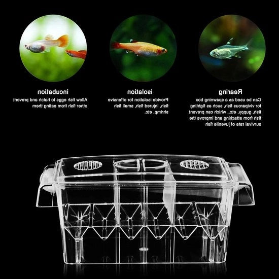Visbaka Drijvend con Grande Capacità e Coperchio per Acquario - Scatola di Isolamento - 27 x 115 cm