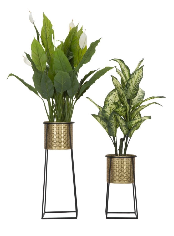 P/VASI COPPIA CUP CM � 26X70-23X45