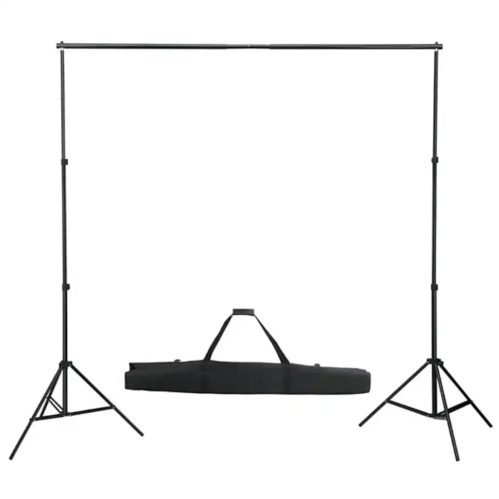 Kit per Studio Fotografico con Set di Luci e Fondale 3094752
