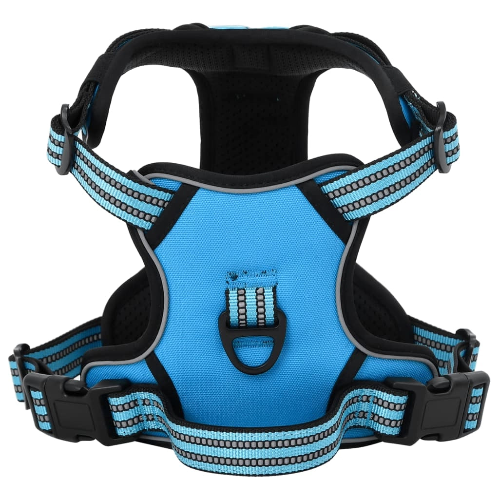 Pettorina per cani con guinzaglio regolabile e collare x L Blu 02_0042334