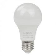 Lampadina LED globo E27 10W 6500K fredda 900lm Ecolight