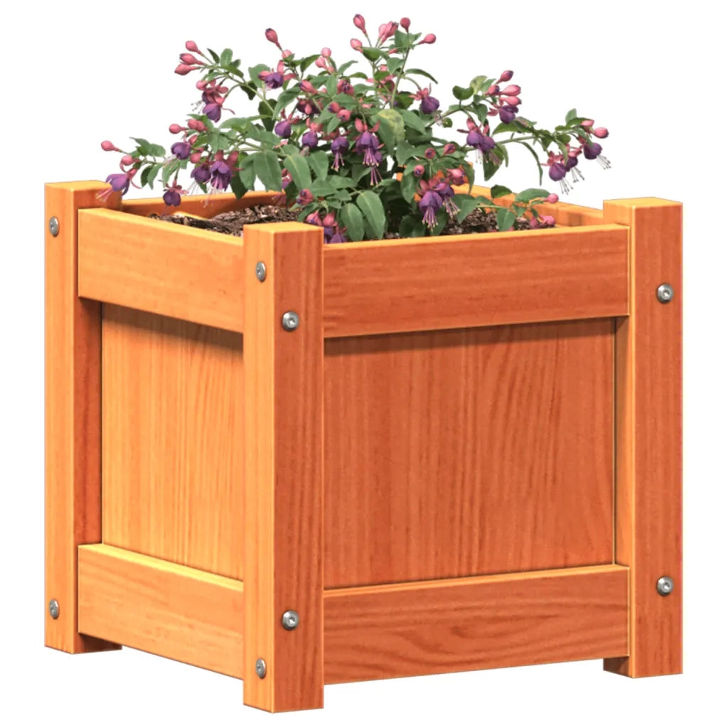 Fioriera Giardino Marrone Cera 31x31x31 cm Legno Massello Pino 837398