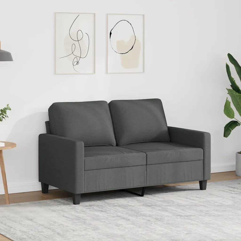 Divano a 2 Posti-Sofa 2 Posti Grigio Scuro 120 cm in Tessuto 445652