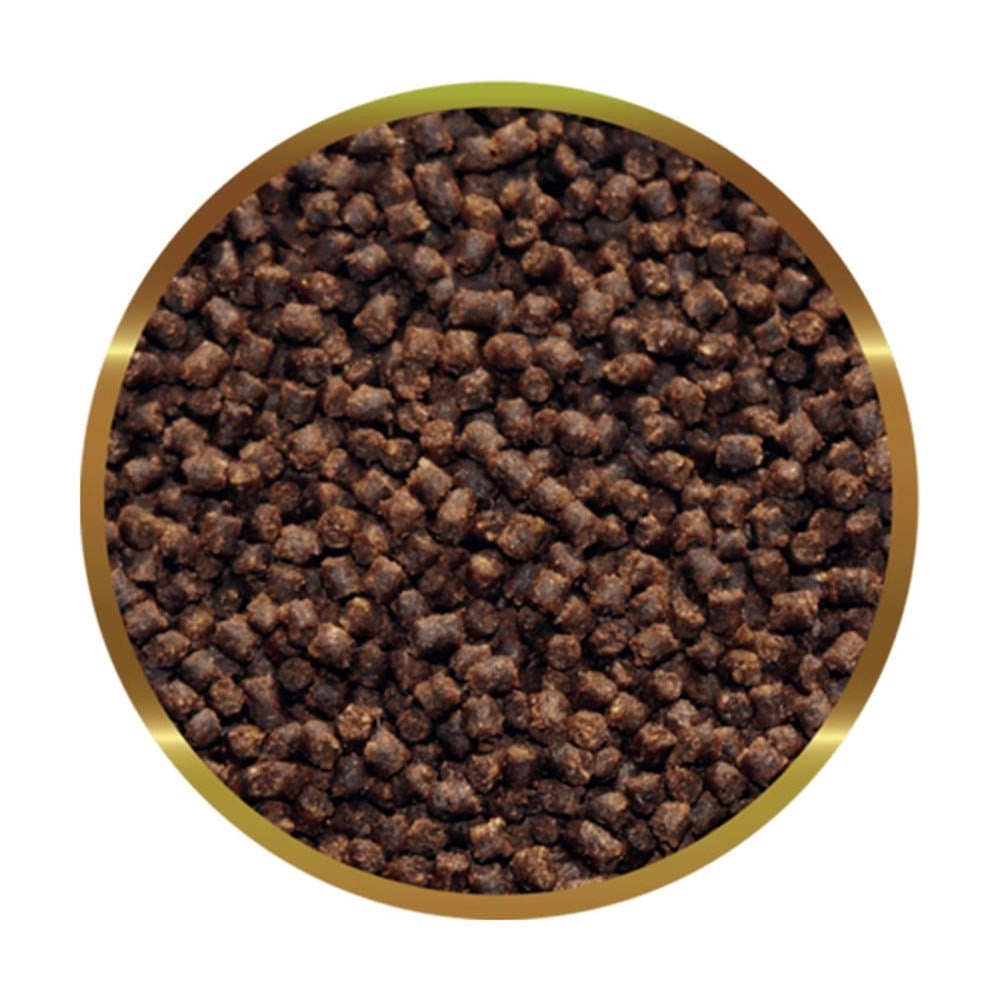 SHG Oranda Granuli 180gr