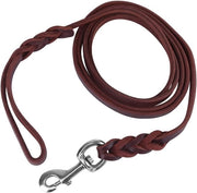 Lei di Cane in Pelle 1,6 m - Corda di Sicurezza per Cane - Collare/Cinturino per Cane - Materiale Duraturo - Chiusura a Pistola - Cavo di Cane