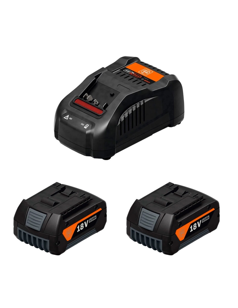 Power Set FEIN (2 x 5,0 Ah + GAL1880CV)