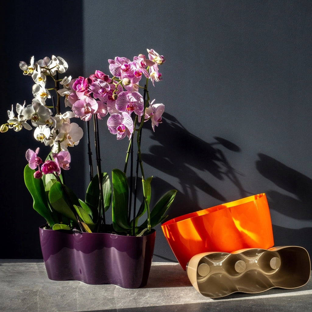 Vaso da fiori KADAX, Vaso da fiori, Vaso da fiori in plastica, Orchidea, 35 cm, Beige