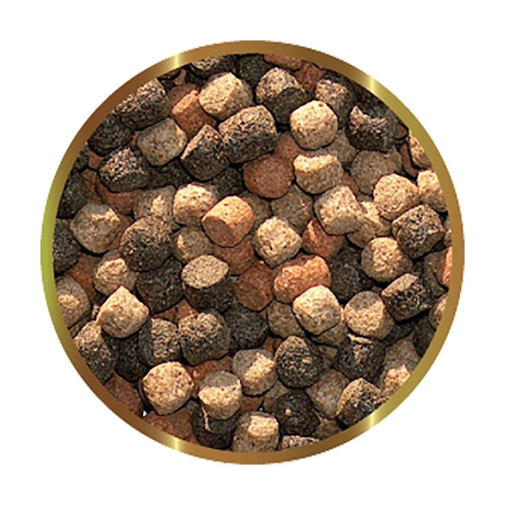 SHG koi Special 800gr