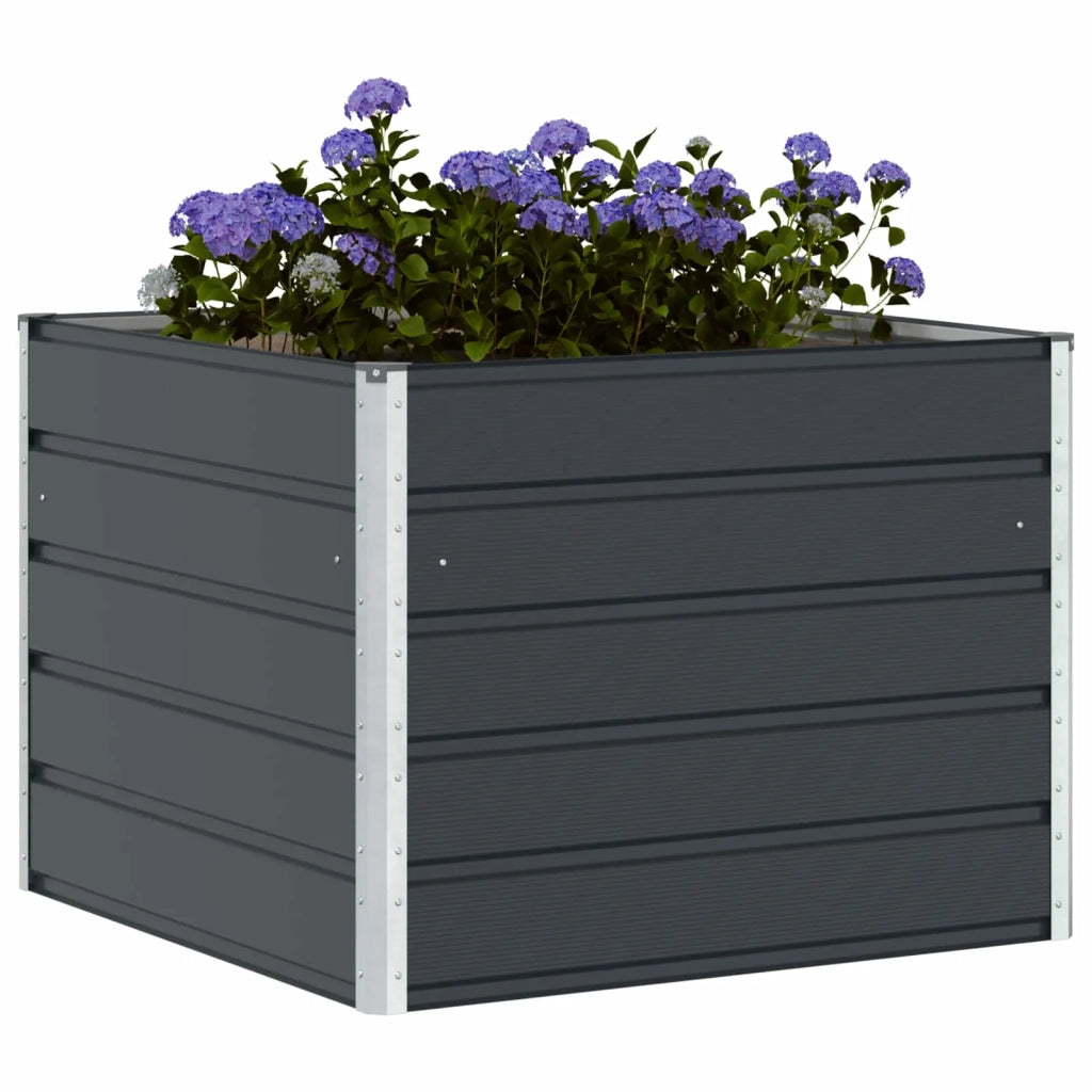 Fioriera | Cassetta per fiori | Vaso Antracite 100 x 100 x 75 cm Acciaio
