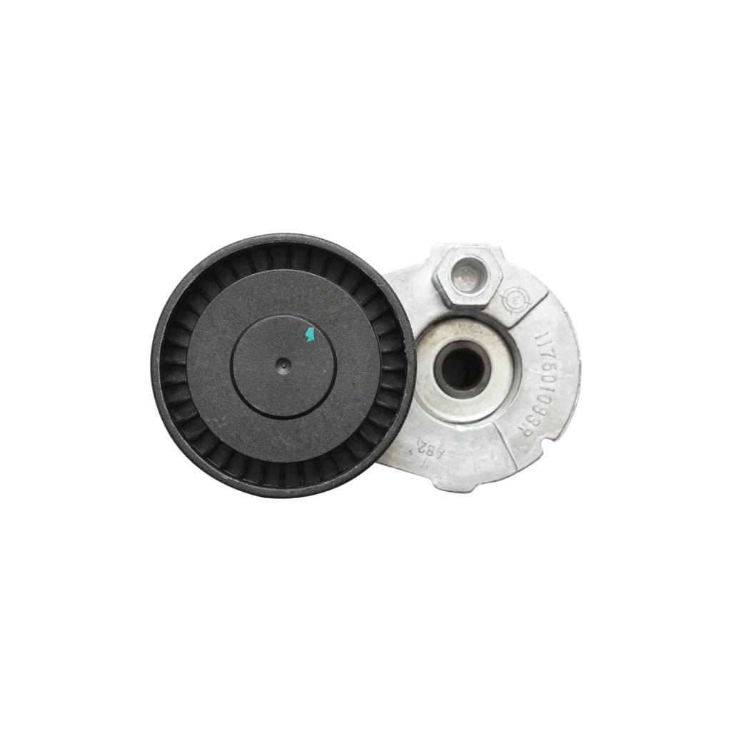 Accessori puleggia cinghia Dacia Logan e Duster 1.5dCi con AC 8200608550