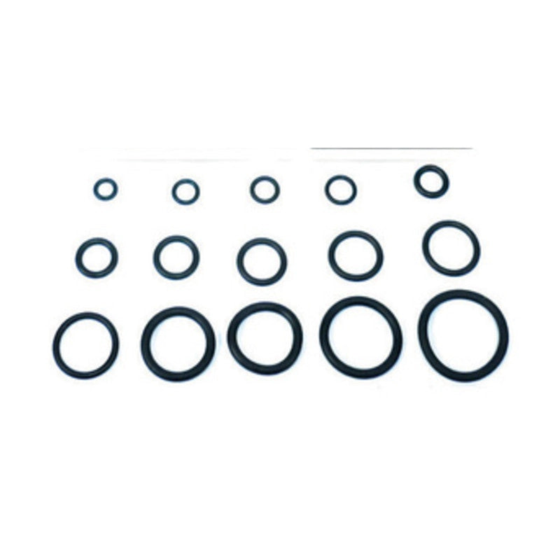 O-RING 13,60X2,70 P/CANNA LAVELLO PZ.100