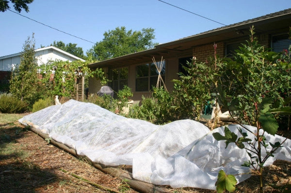 Telo in TNT bianco 3,2x10m